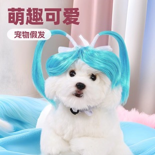 Pet Wig New Blue Double Ponytail Cat and Dog Supplies Cute and Cute Cross-Dressing Headwear Straight Hair Universal Style