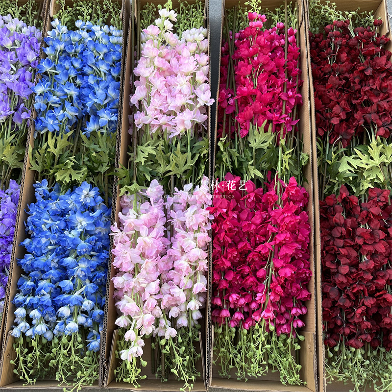 Extra large delphinium