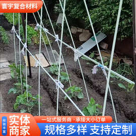 大棚支架拱杆育苗新型小拱棚实心玻璃纤维农用蔬菜骨架种菜支撑杆