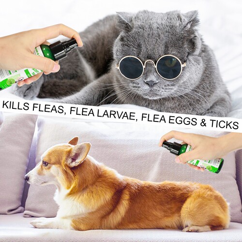 ELAIME pet repellent spray, external insect repellent for dogs, ticks, fleas and lice general spray for cats and dogs