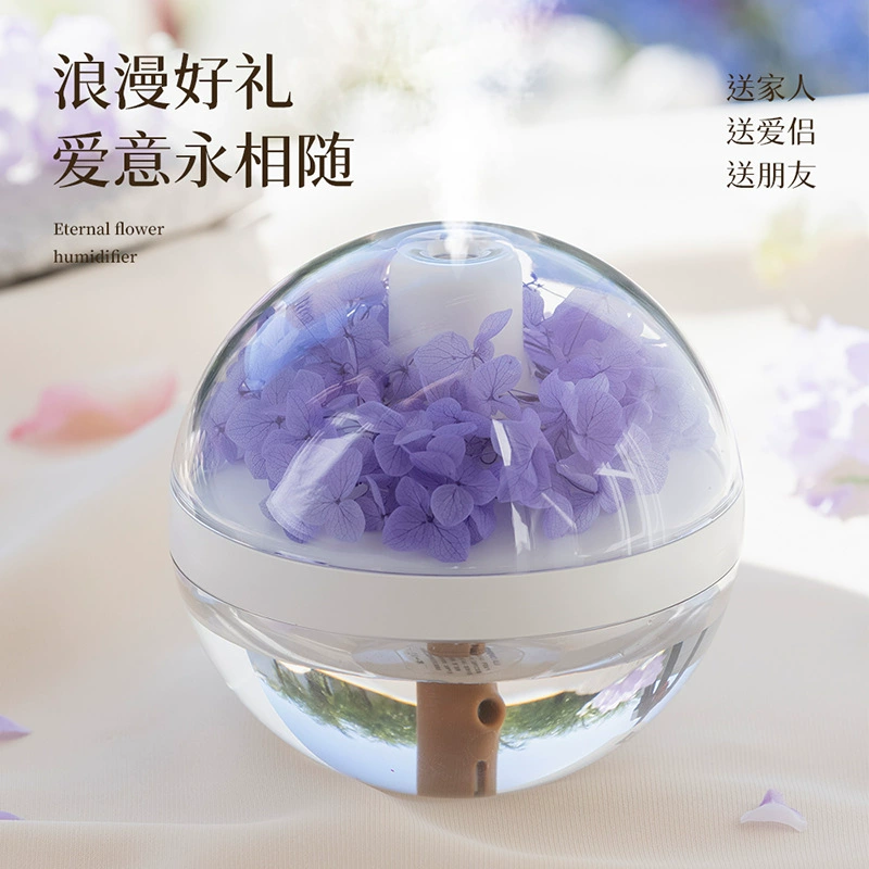 Creative humidifier, moisturizing lights for bed, Birthday gift