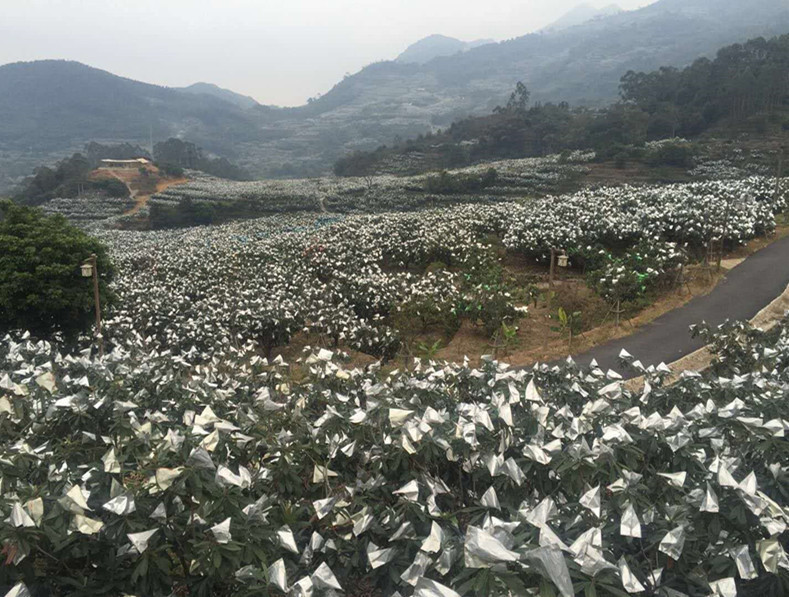 8765006927_804901760