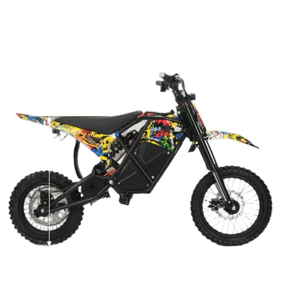 Elektrikli motosikletlər 48V lithium battery with a - camouflage-color-48v208ah
