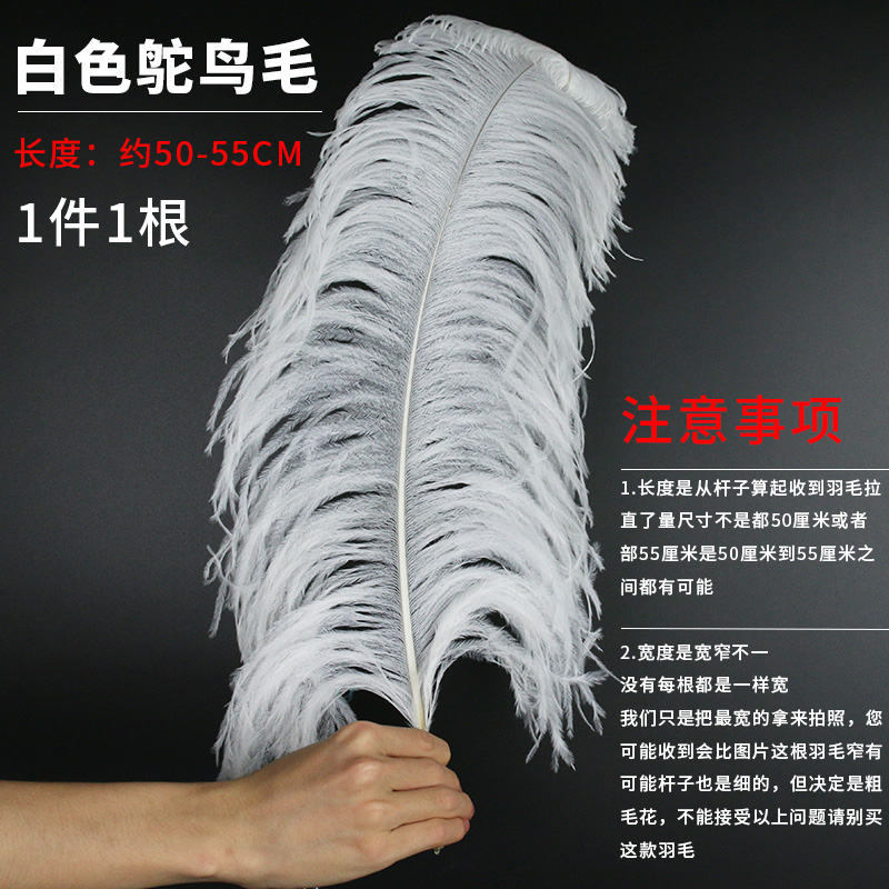 Plumas Decorativas Artesanales para Bodas y Manualidades DIY