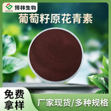 葡萄籽原花青素OPC葡萄籽提取物 葡萄籽原花青素 低聚原花青素