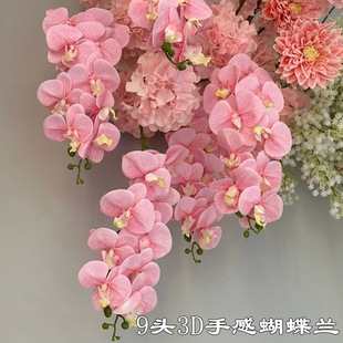 �¿��ɫ�����m���Q�S��  9�^3D�ָк����m ��ɫ��Y�Ƶ�ٻ����l