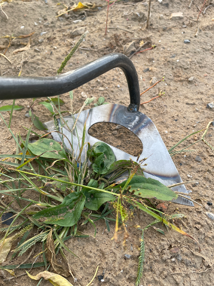 全钢锄头平地除草种菜翻地松土农工具农用多功能园艺工具