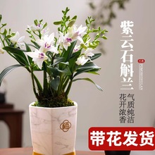 �m���� ��녝�īʯ���m �����������ۺ��B�Gֲ���������滨��