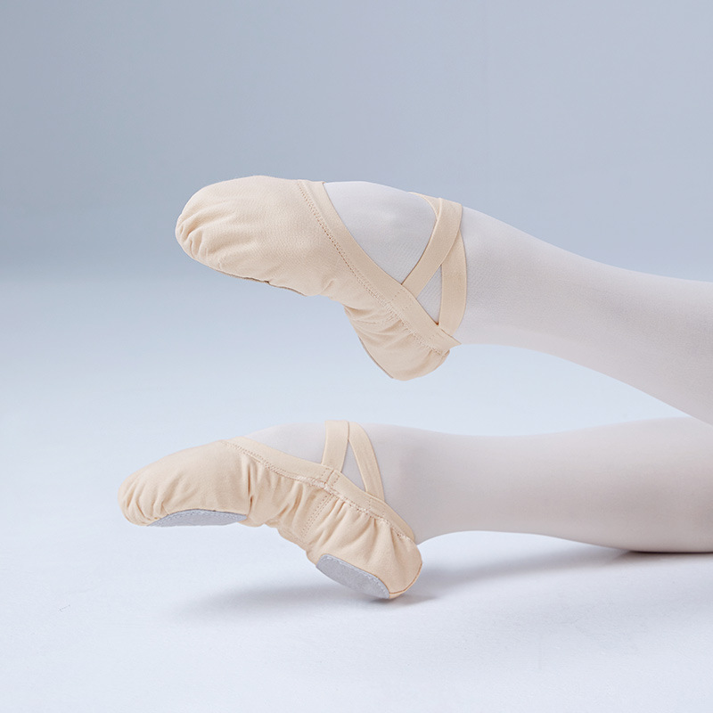 Zapatos de baile para adultos zapatos de práctica zapatos de garra de gato de fondo suave zapatos de baile de ballet boca elástica zapatos de punta de tela sin cordones al por mayor