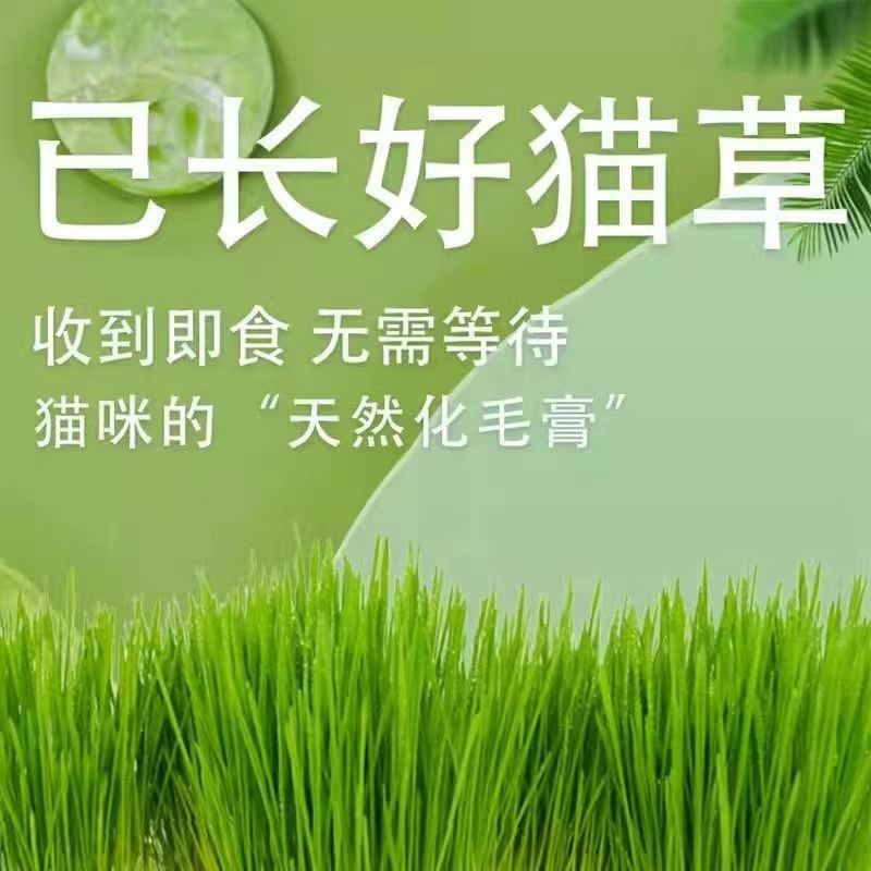 5c296730-91b2-4a21-a722-00f32af0be2f.jpe