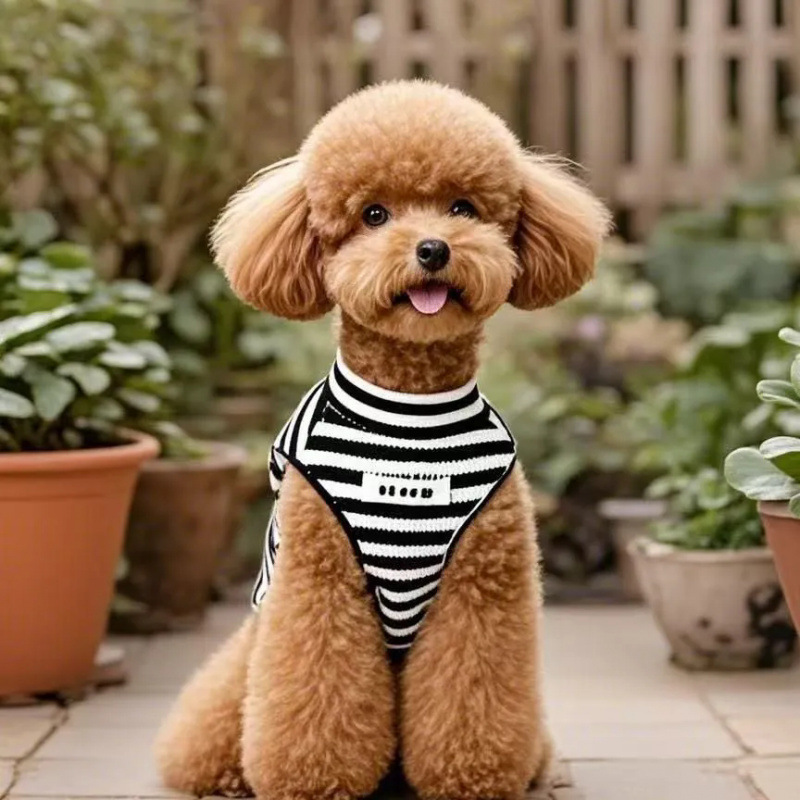 Mascotas verano retró rayas perros gatos chaleco pequeño perro antipello ropa de mascotas transpirable Teddy Bear