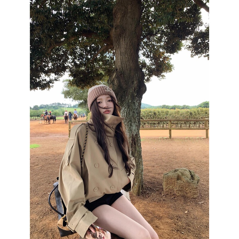 British Style Jacket for Women 2025 Early Autumn New Model Elegant Socialite High-End Light Luxury Double-Breasted Stand Collar Short Trench Coat
