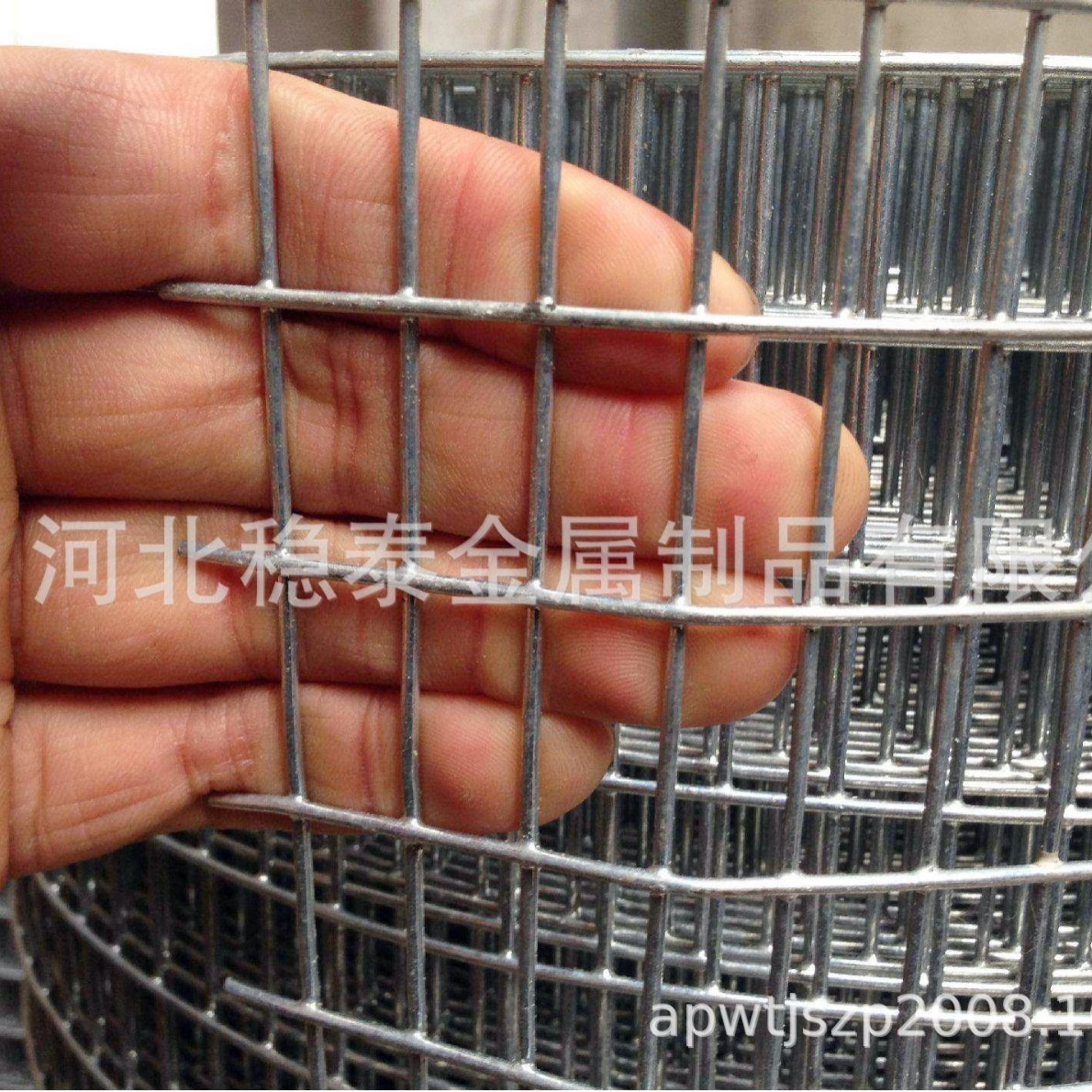 厂家专业生产25.4mm孔径热镀电焊网