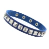 (Collars) TOEIN