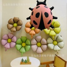 �ƹ������Ĥ���򸴹����յ��������ɶ�װ��̫������������ϵ��