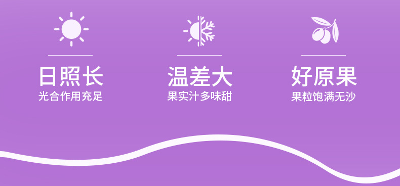 Mulberry Puree NFC Fresh Mulberry Juice 2.7L Gift Box Zero Additive Sang Shen Yuan Jiang specifications