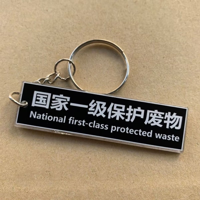 国家一级保护废物搞笑趣味钥匙扣亚克力挂件高颜值国潮挂饰挂件|undefined