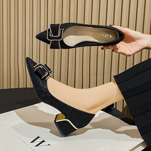  New Evening Shoes French Thick Heel High Heel Pointed Toe Women's Spring Medium Heel Plus Size Shoes 41-43