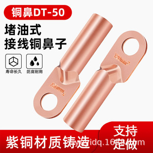 Manufacturer Specializes in Galvanized Copper Nose Dt-16 Copper Nose Electrician Wiring Nose Cable Terminal Copper Terminal Block