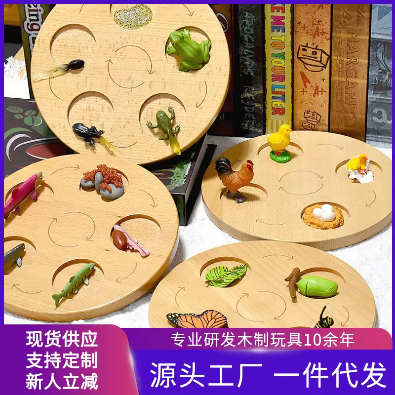 动植物演变生长生命周期托盘仿真进化论模型蒙氏科教认知拼图玩具