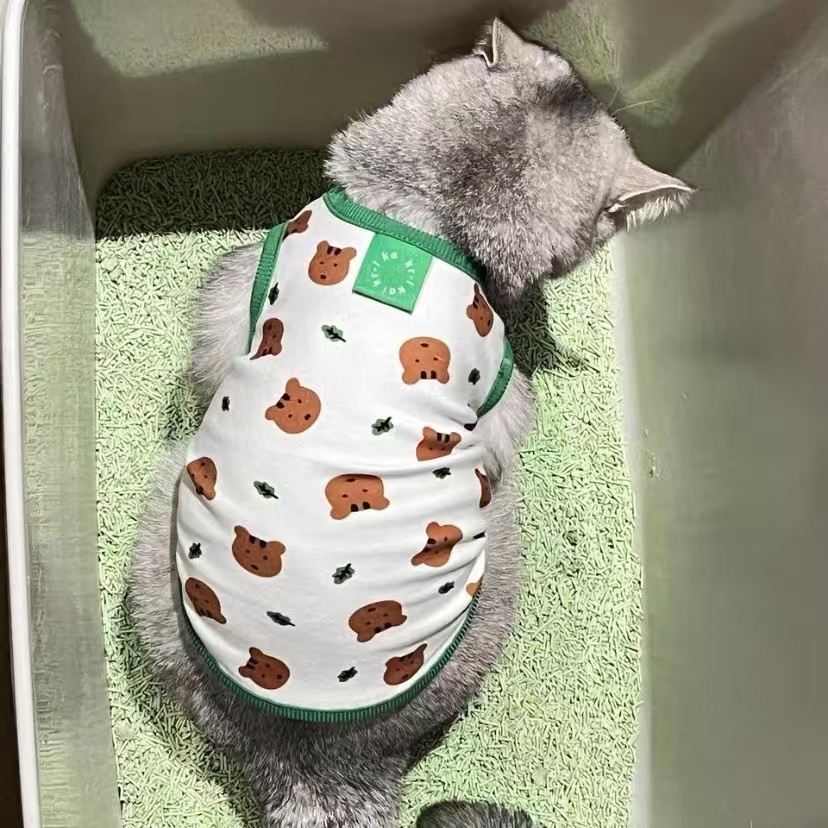 1b61e1fb-76a0-49d2-9060-d99be5def617.jpe