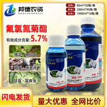 �����_�����ٵ� 5.7%������������{�����x�޻�����x�rș���x��