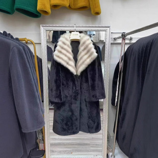 2025�¿����Q������q������؈���������L���M��ˮ��Ƥ����Ů