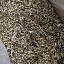 3mm ���㹽�z Óˮ�㹽�нz ��������·�����ϸ��㹽�l