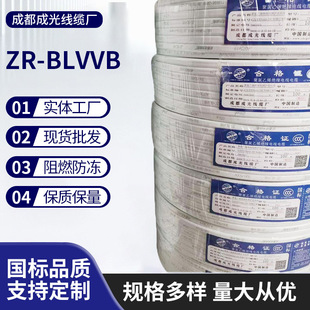 ZR-BLVVB������ϩ�^���o����ȼ늾�늾��X�o�����l���˼��b