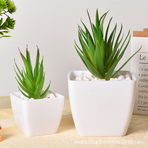 Imitation white porcelain thick succulent plant potted flower pot simple white plastic pot imitation plant desktop decoration decoration pot