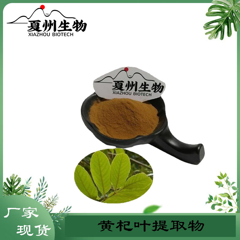 黄杞叶提取物10/20/30/50:1 落新妇甙60%80%规格 植物提取 夏州kg