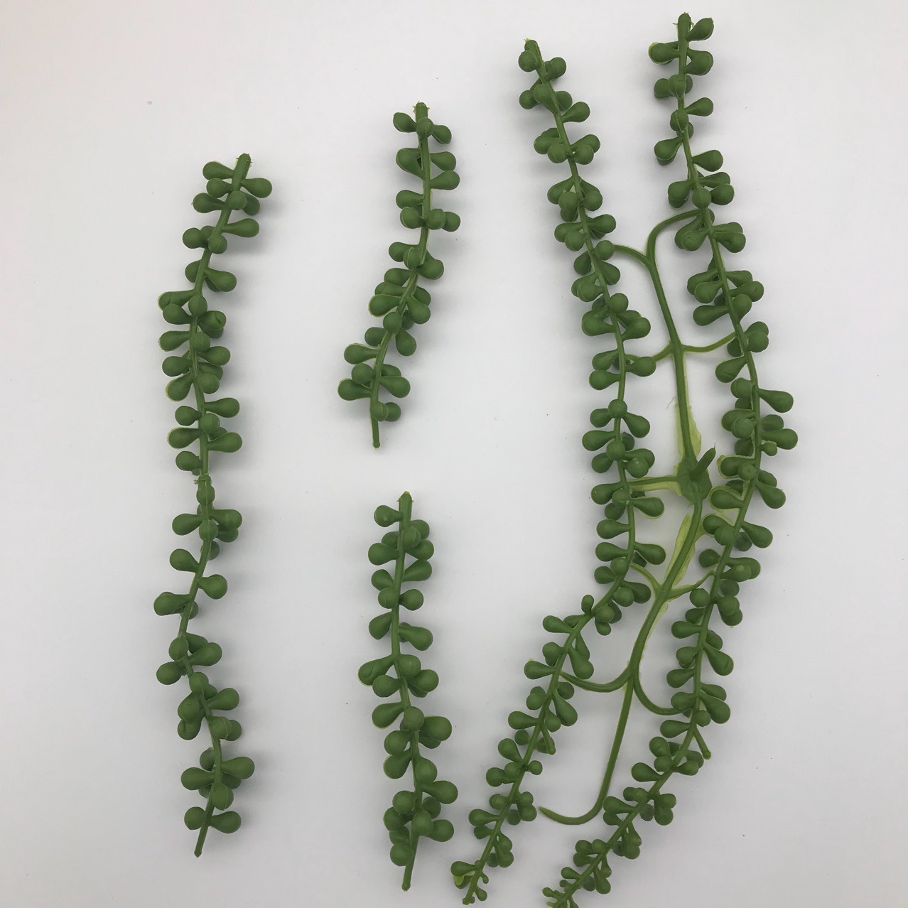 情人泪仿真多肉植物软料佛珠假花藤蔓配件批发厂家专供二批|ms