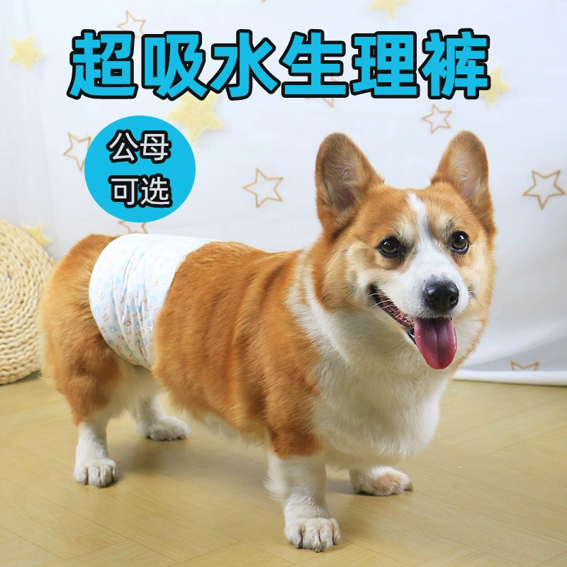 Pet Dog подгузники Koji Tedi не мокрые подгузники