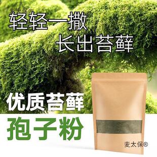 �r���ɽ��ˮʯ�辰��̦�\̦�\��ĩ������ˮʯ��̦̫�����N�ӷN��