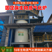 博恩生物质气化炉工厂定制 锅炉供热能源管理生物质热解气系统