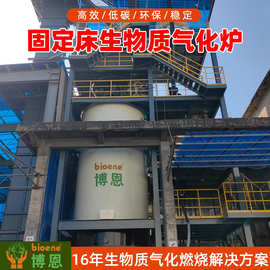 博恩生物质气化炉工厂定制 锅炉供热能源管理生物质热解气系统