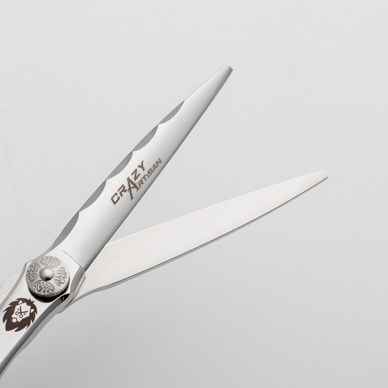 Ciseaux de coiffure professionnels en acier 440c pour salon_voghion.com