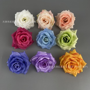 ���淨ʽõ�廨�^��c�����b������ֹ����^�羳��ֻ�������컨�^