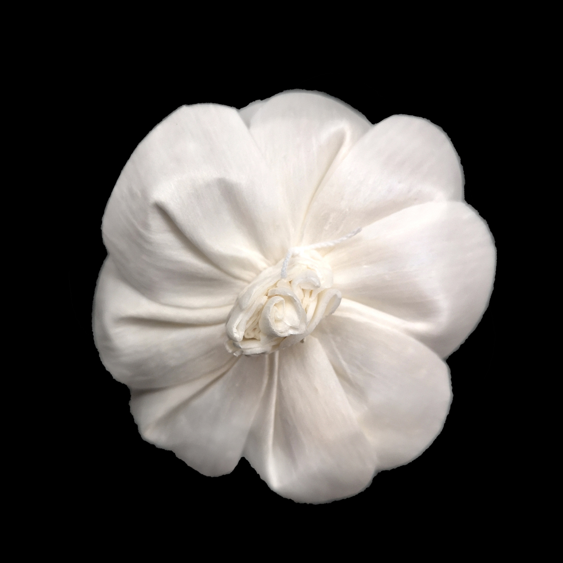 Customization|Flameless Aromatherapy Artificial Valentine's Day Rose Simulation Home Decoration Dried Flower_voghion.com