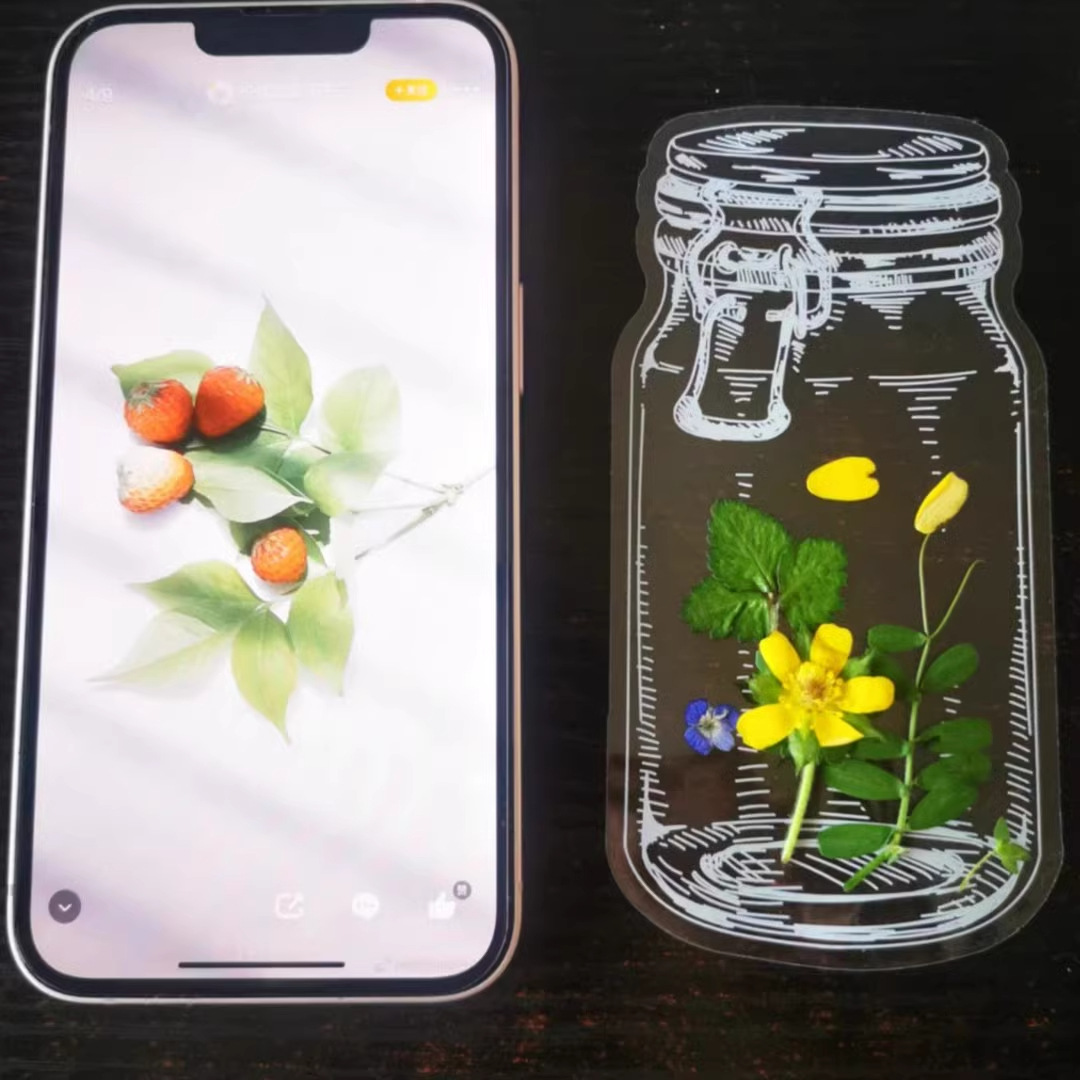 Marcadores de Especímenes de Flores Secas de Plástico Transparentes para DIY