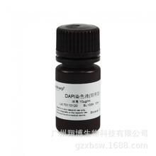 BL105A DAPIȾɫҺ DAPI Staining Solution (10ug/ml)ͣ