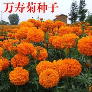 �f�۾շN���ļ����N�_���׻��ܽ�ػ��N���ӿ�ȸ�ݻ��N���f�۾���