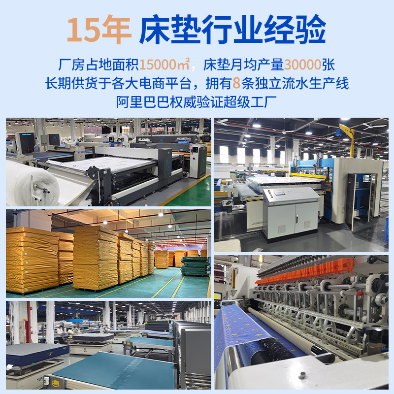 Customized Latex Hotel and Guesthouse Simmons Mattress for Home Rental, Hard Coconut Palm Independent Spring Wholesale, Foshan Spine Protection