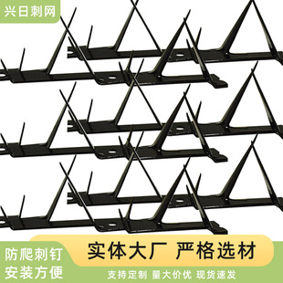 Customized Stainless Steel Anti-Climbing Thorn Nails Hot-Dip Galvanized Thorn Net Isolation House School Community Wall Nails Anti-Climbing