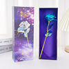 Colorful Simulation 24K Gold Foil Rose Gift Box Single Tanabata Valentine's Day Gift Creative Birthday Manufacturer Cross -border