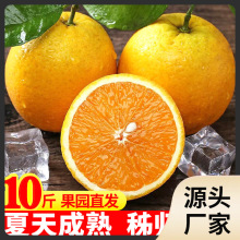 ll新鲜秭归夏橙春橙伦晚脐橙10斤装新鲜当季应季水果冰糖甜橙子整