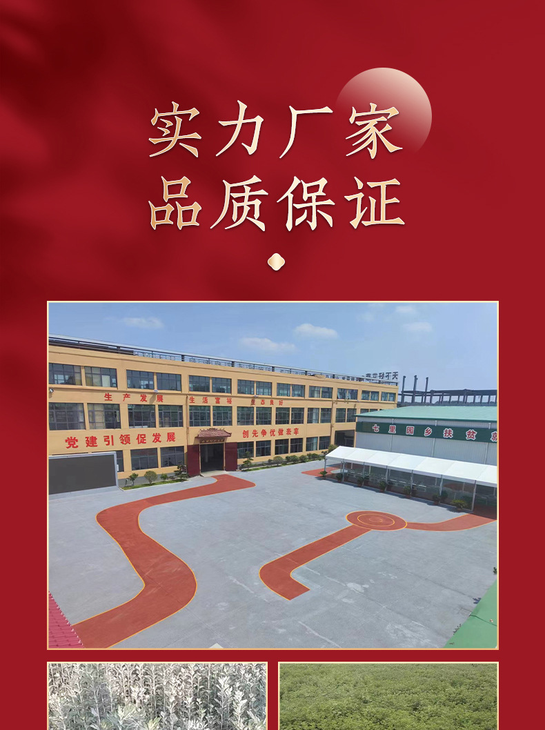 Five-year old Artemisia 500g Dragon Boat Festival Artemisia bulk gold Artemisia grass smoked ginger moxibustion ginger moxibustion detail image