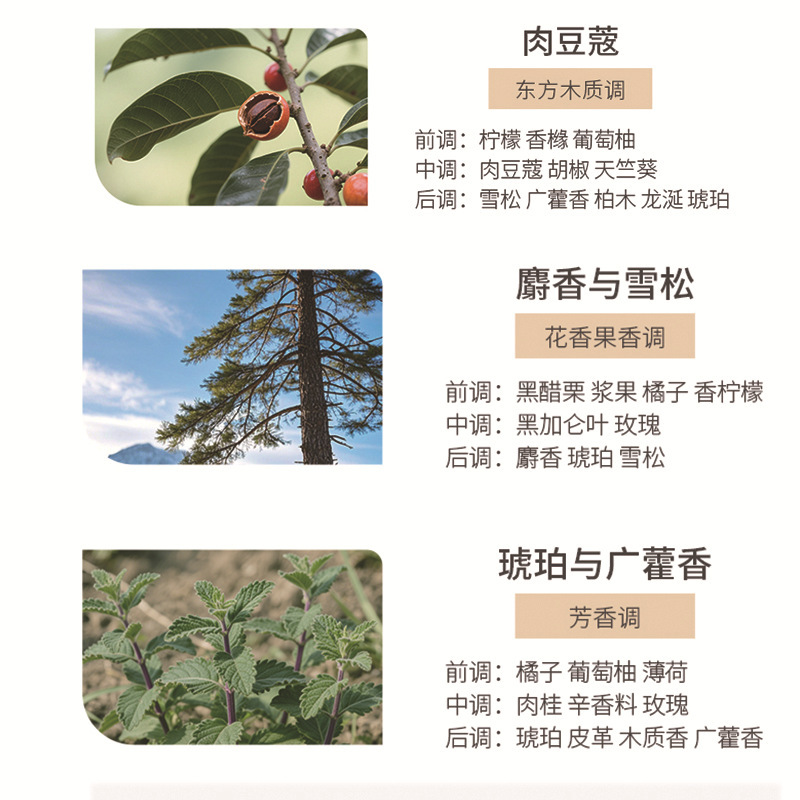香薰蜡烛礼盒家用卧室熏香生日礼物伴手礼大豆蜡香薰蜡烛一件代发|undefined
