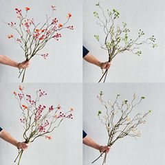 模擬山帰還ベリーサウススネークバインアートフラワーアレンジメント小道具ドライフラワーフラワーアート装飾枯れ枝乾燥枝