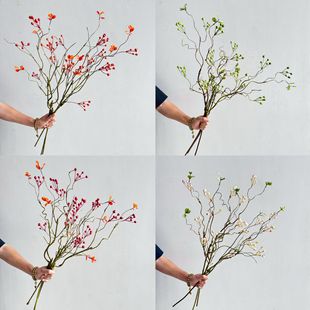 ����ɽ�w�� �{�������� ˇ�g�廨֦�ĵ��߸ɻ���ˇ���b�֦��֦